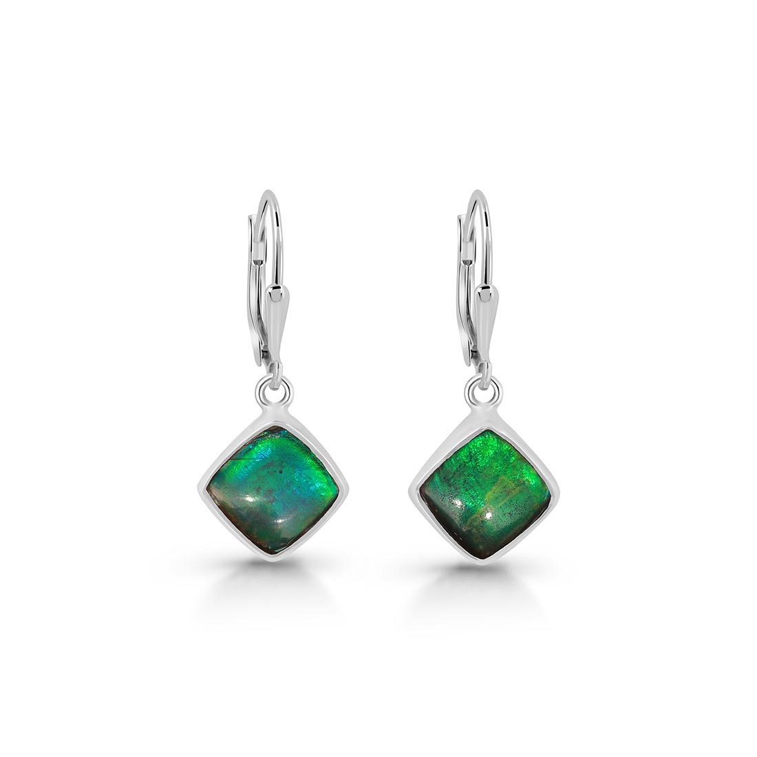 Ammolite Earring-(AML-E-23)