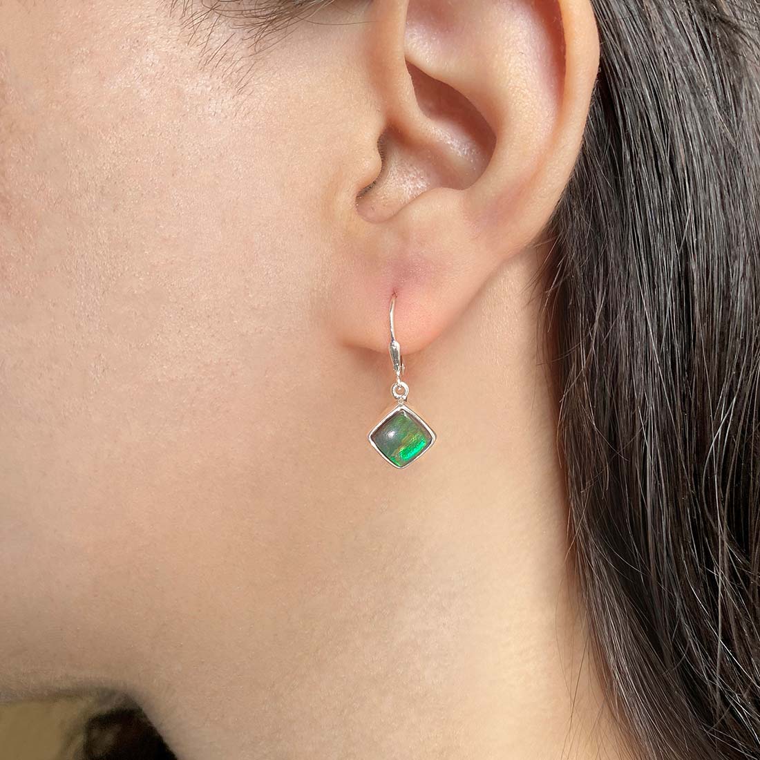 Ammolite Earring-(AML-E-23)